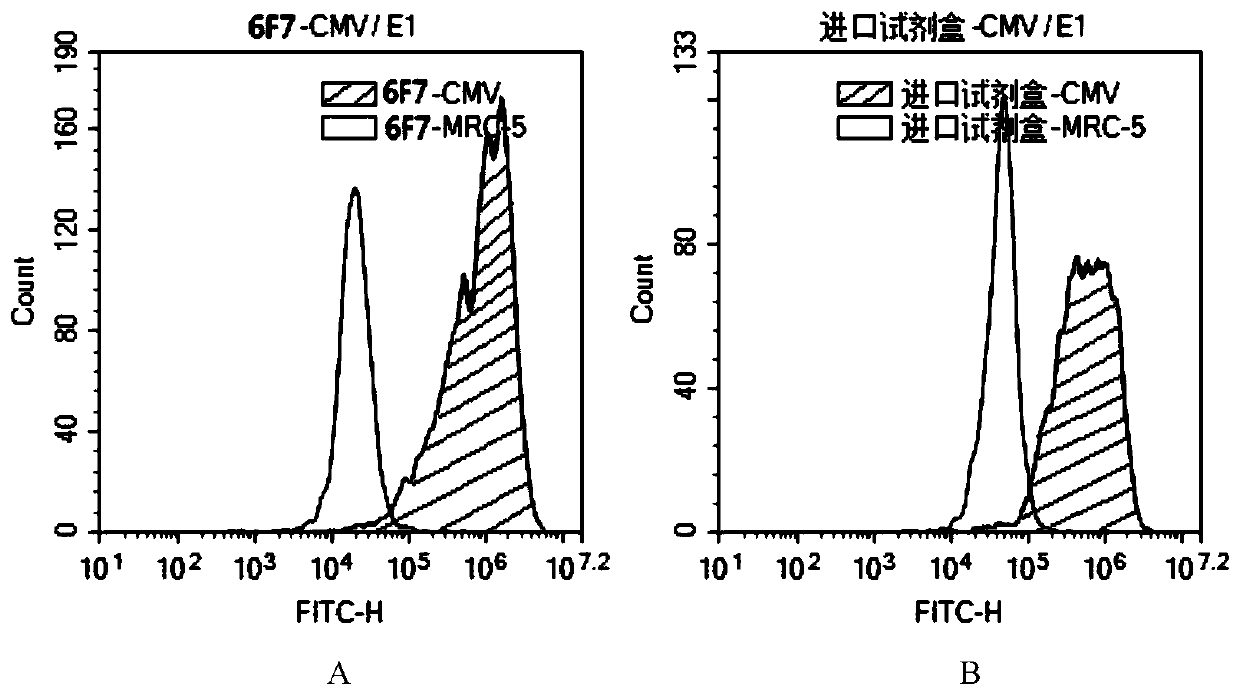Hybridoma cell line c11-6f7 and its hcmv monoclonal antibody and application