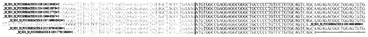 A kiaa1217-ret fusion gene