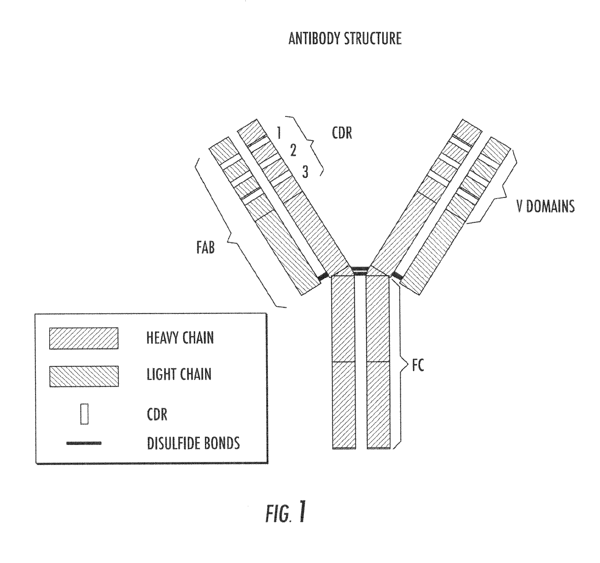 Lowered affinity antibodies and uses therefor