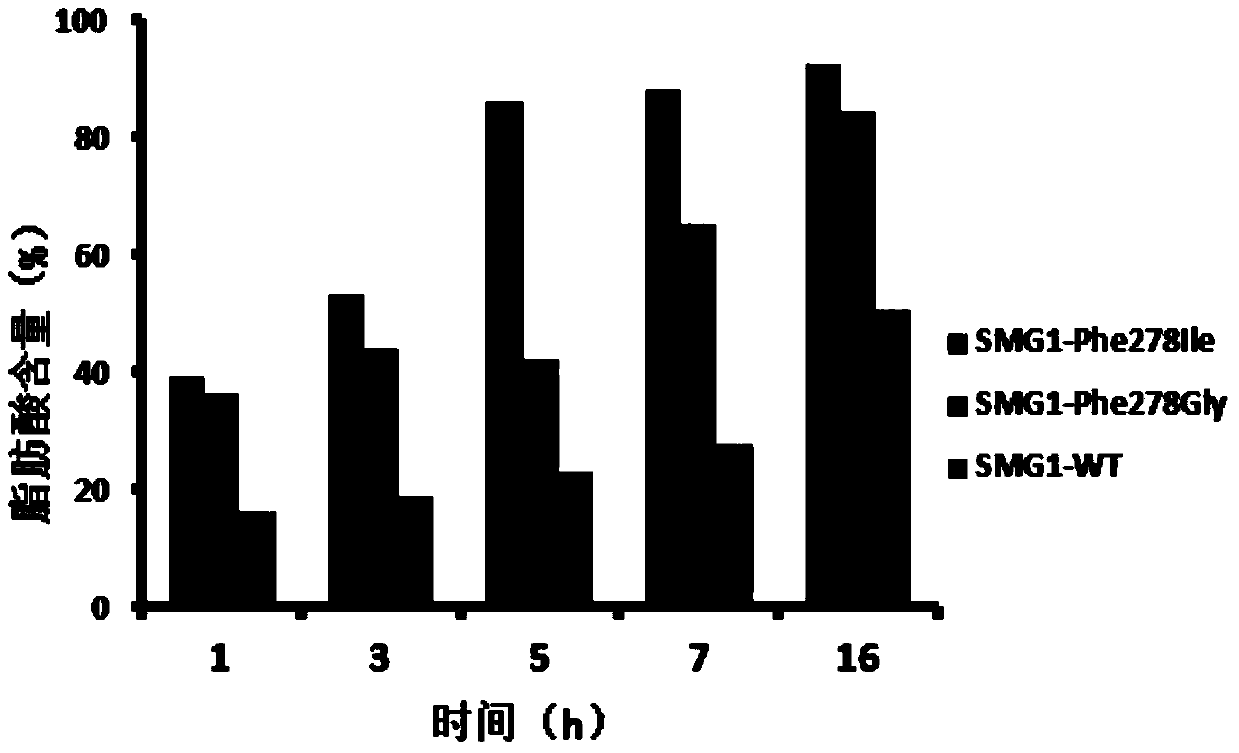 Higher-activity partial glyceride lipase mutant and application thereof