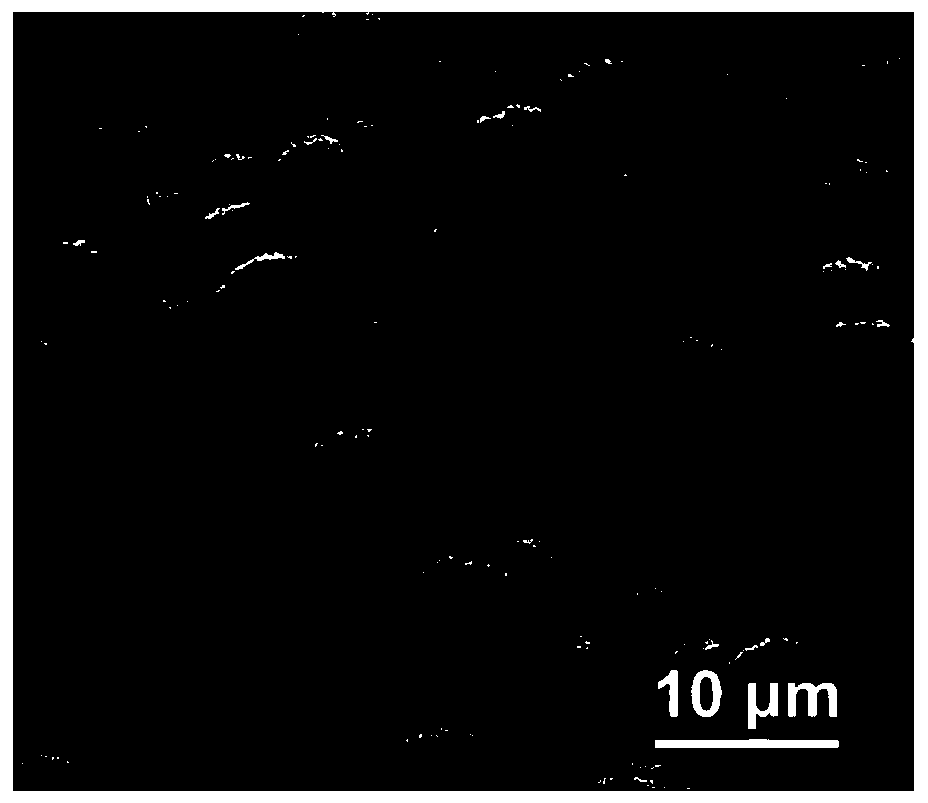 Isotactic polylactic acid porous microspheres and preparation method thereof