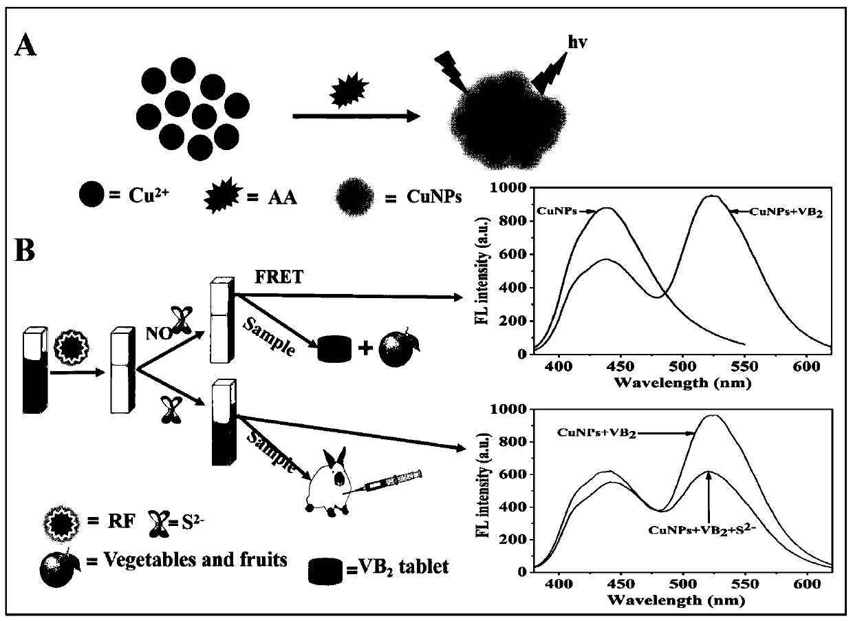 Fluorescent copper nanoparticles, preparation method thereof and application in detecting content of riboflavin and sulfur ions