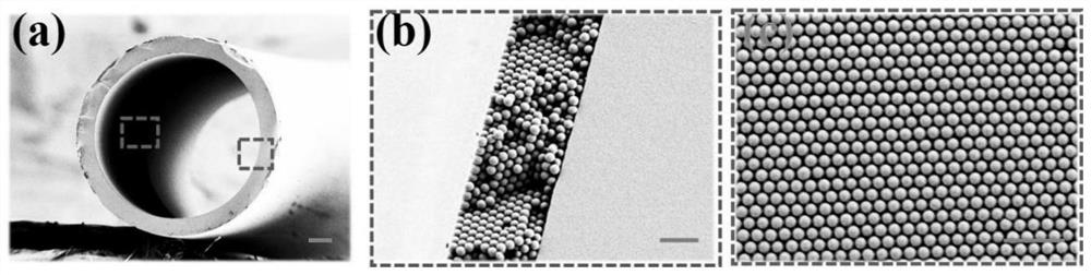 Preparation method and application of responsive structural color micro-pipeline