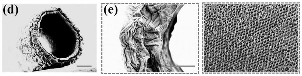 Preparation method and application of responsive structural color micro-pipeline