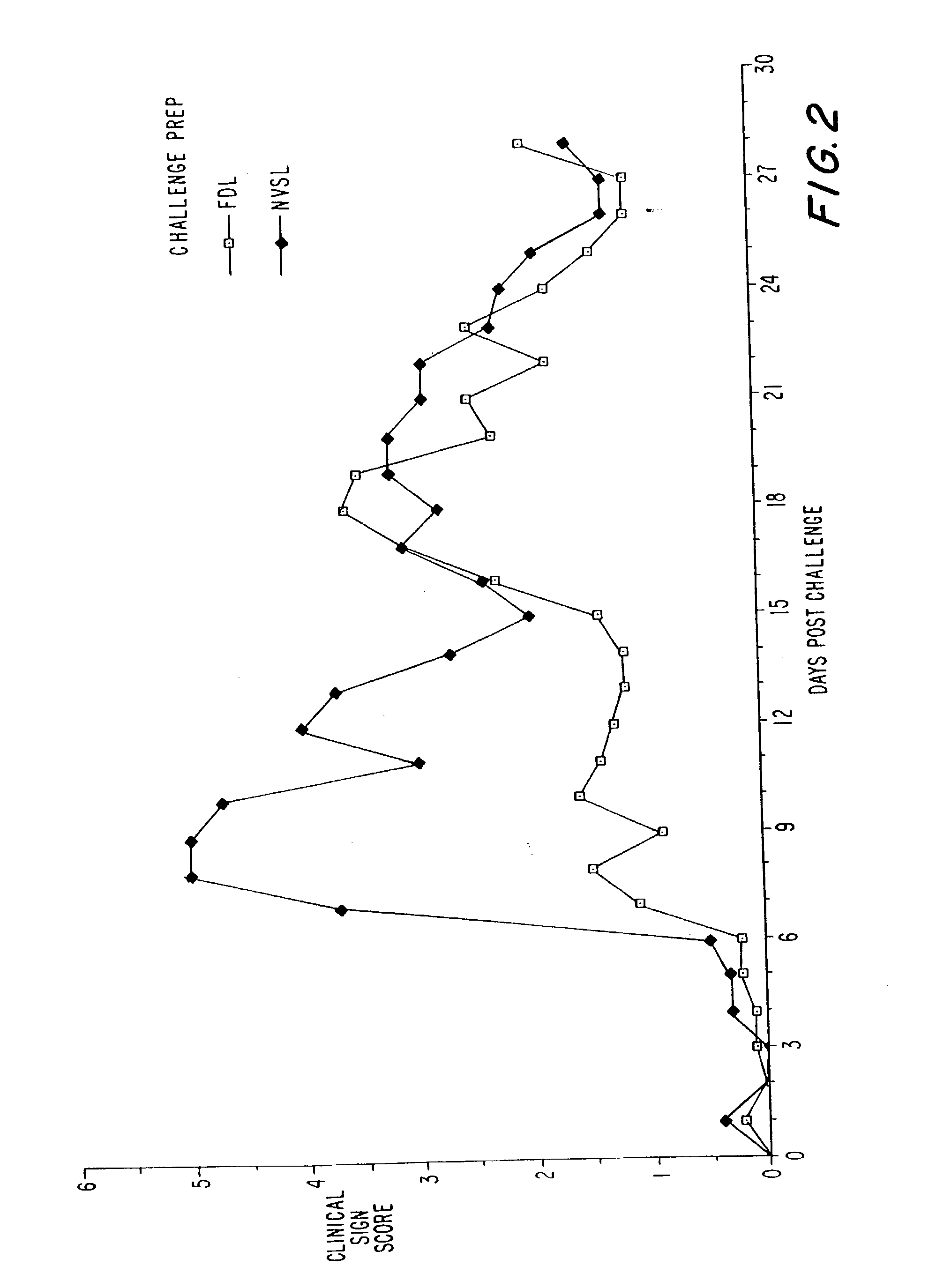 Feline vaccine compositions and method for preventing chlamydia infections or diseases using the same