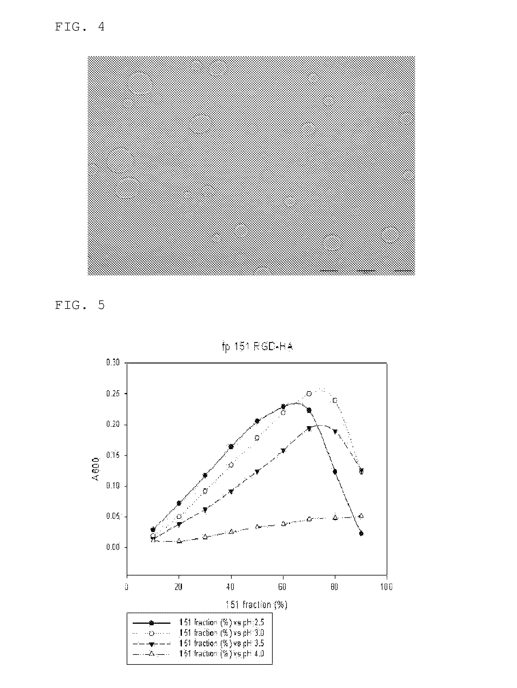 Coacervate having an ionic polymer mixed with the adhesive protein of a mussel or of a species of the variome thereof