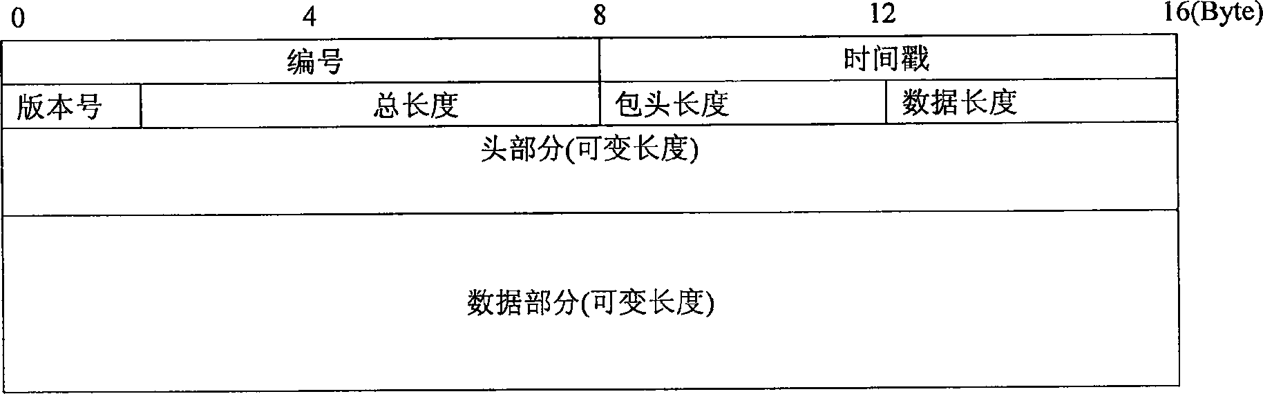 Architecture of broadcasting and storing grid under Internet environment