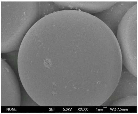 A kind of hydrophilic modification method of polystyrene material and product thereof