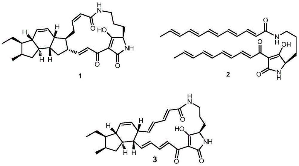 A kind of dovemycin biosynthetic gene cluster and its application