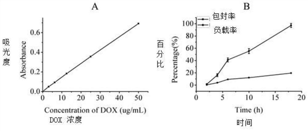 SiRNA and anticancer drug targeting co-delivery system as well as preparation method and application thereof