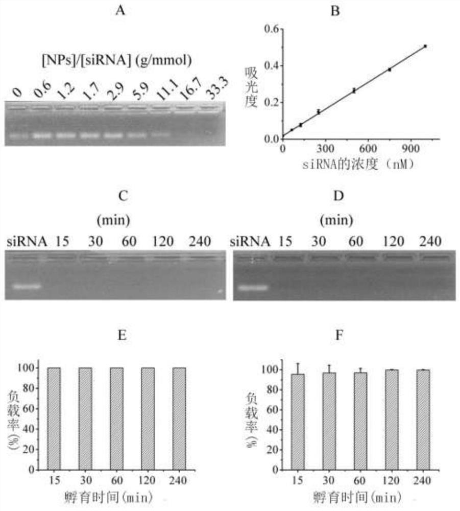 SiRNA and anticancer drug targeting co-delivery system as well as preparation method and application thereof