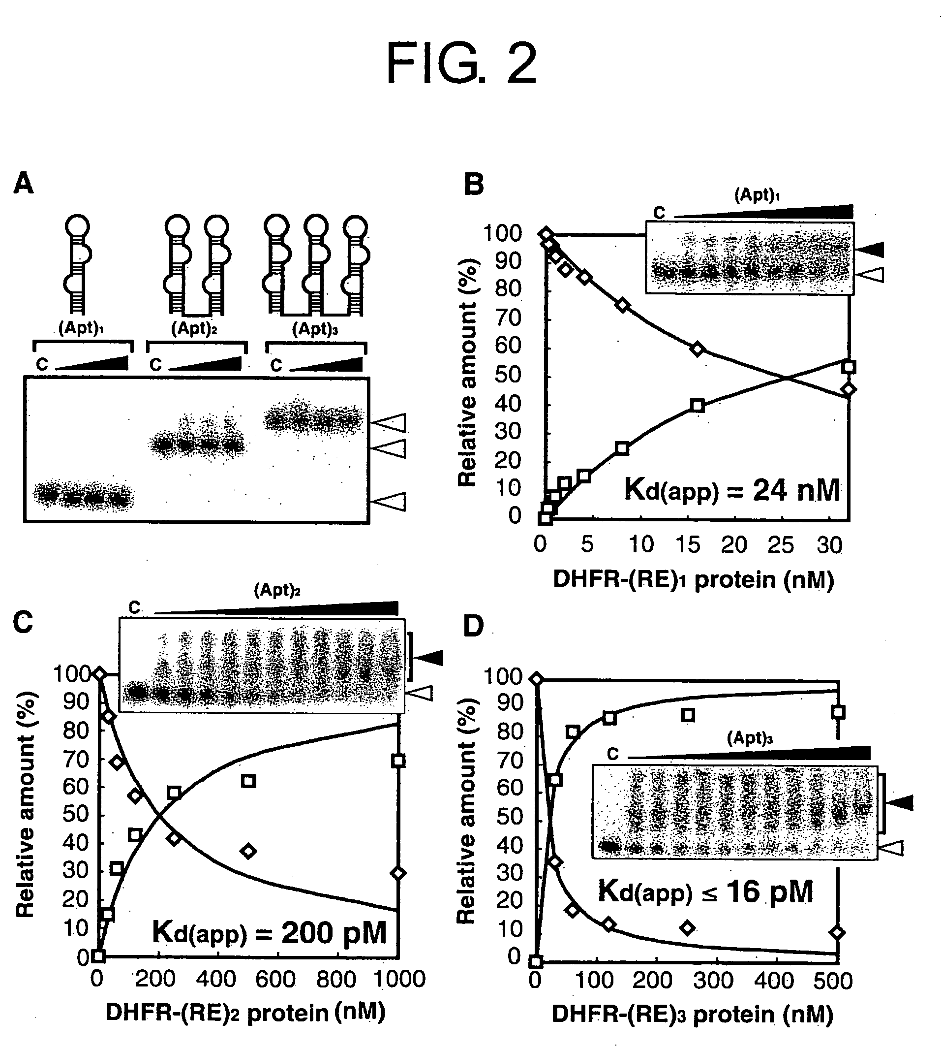 Method for forming a stable complex comprising a transcription product and translation product of a dna encoding a desired polypeptide, a nucleic acid construct used for the method, a complex formed by the method, and screening of a functional protein and mrna or dna encoding the protein using the method