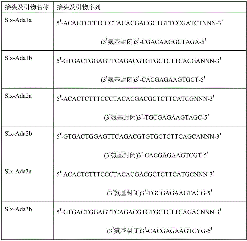 A method for constructing a tandem rad tag sequencing library