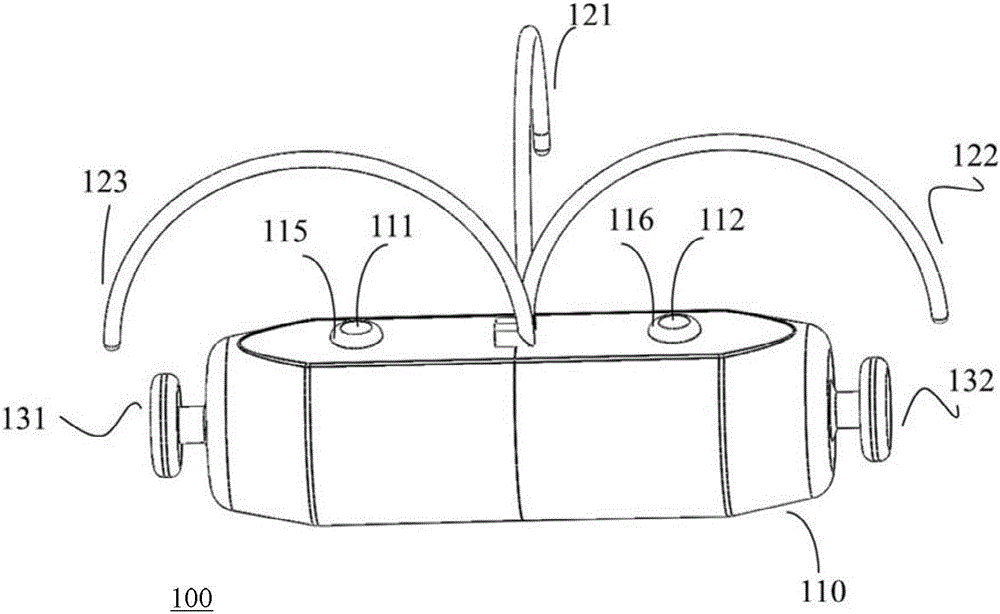 Heart implant and fixation method thereof