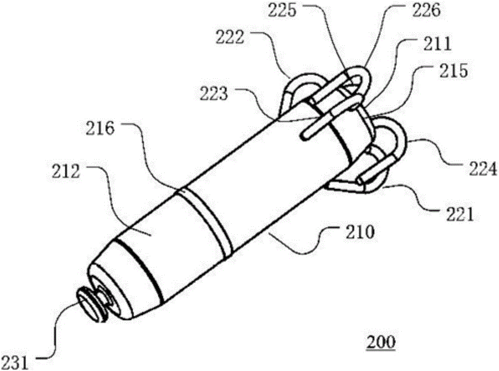 Heart implant and fixation method thereof