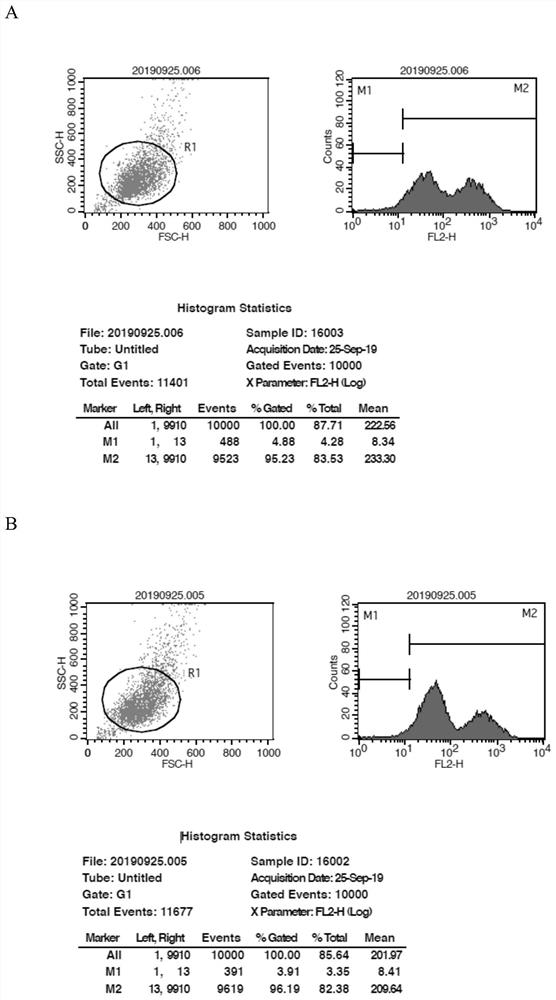 Mutant encoding gene of human 4IgB7-H3 and application thereof in regulating immunity