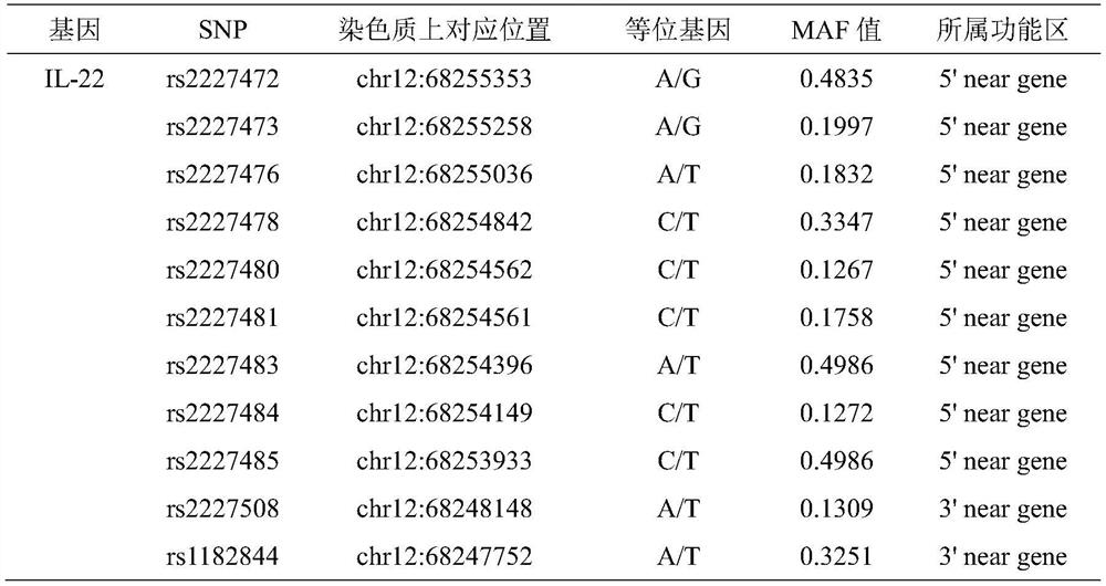 SNP locus related to auxiliary diagnosis of chronic obstructive pulmonary disease susceptibility and application SNP locus