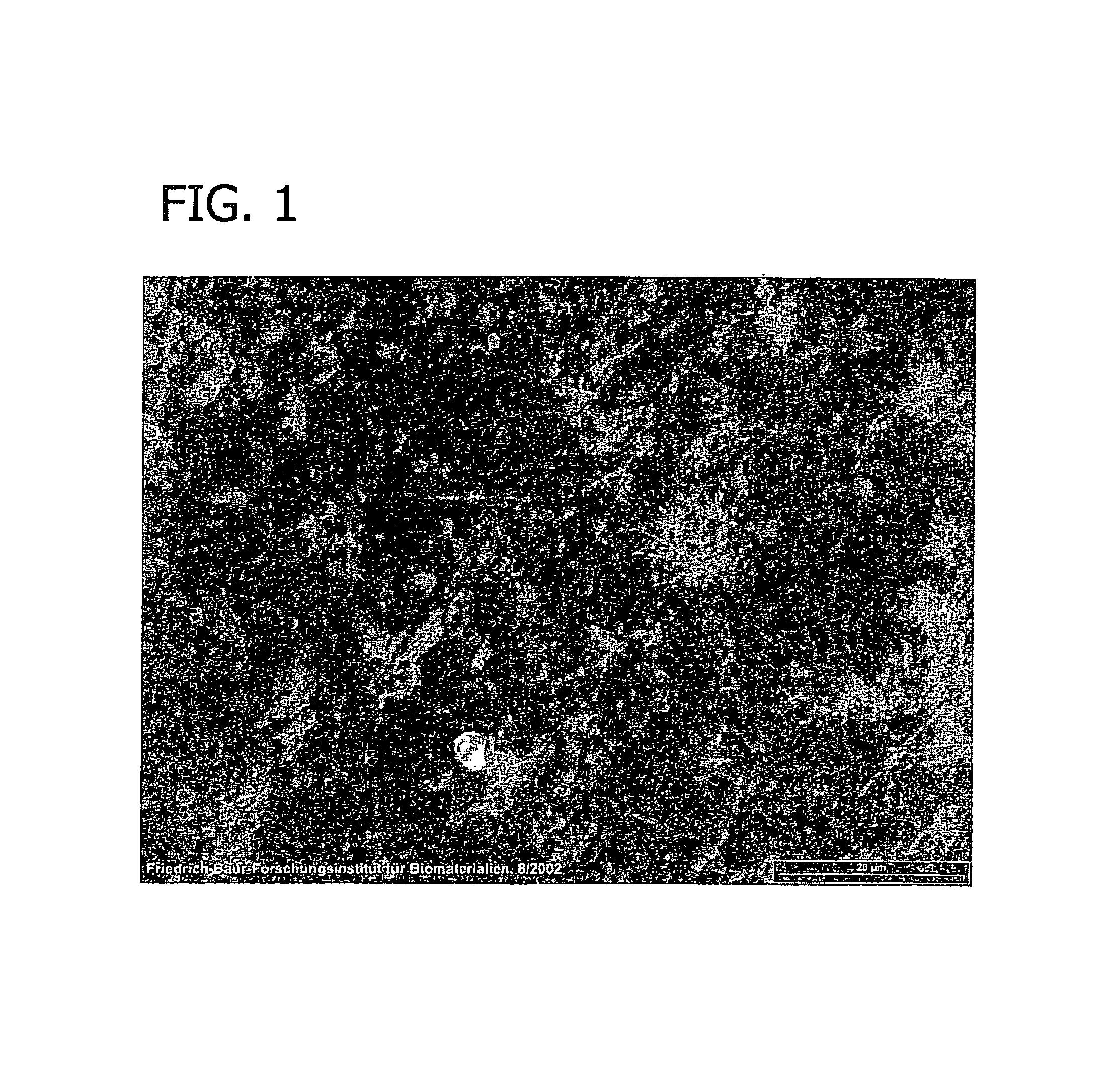 Method for directed cell in-growth and controlled tissue regeneration in spinal surgery