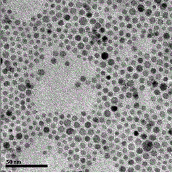 A visual and rapid detection method for trace copper ions