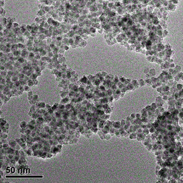 A visual and rapid detection method for trace copper ions