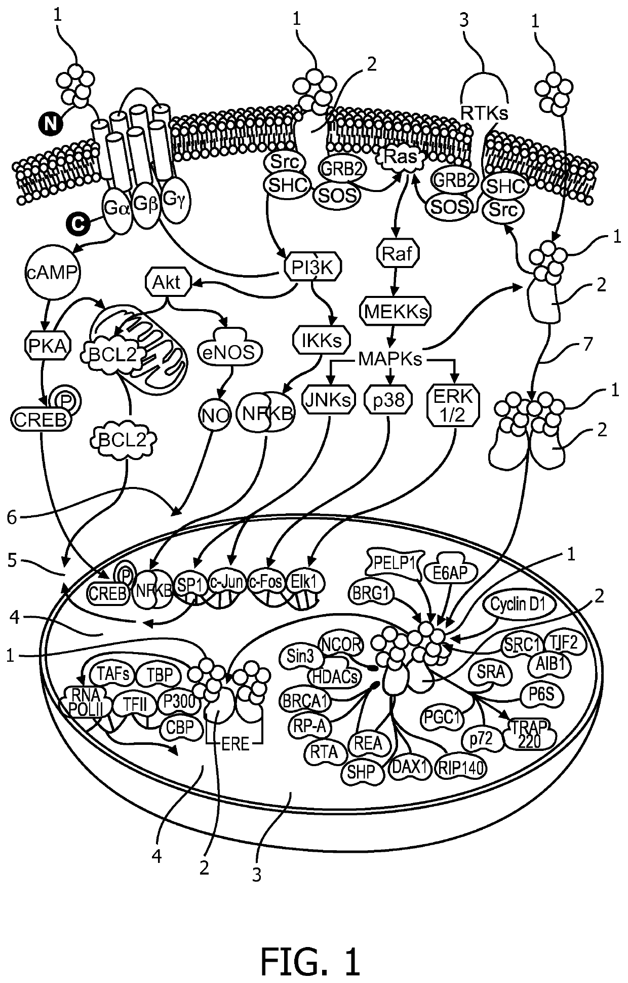 Stratification of patients for assessing the suitability of a therapy