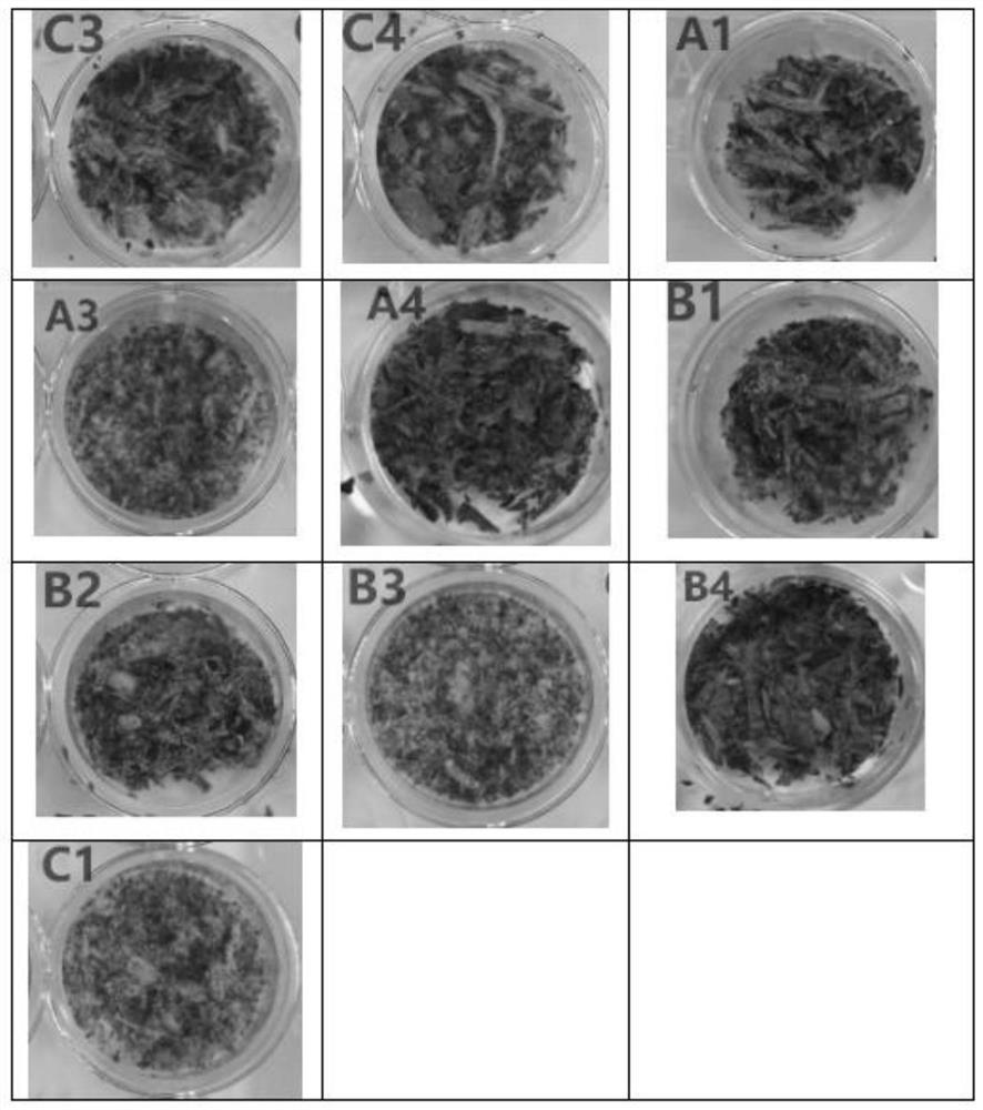 A flowering inducer and application of the flowering inducer and flowering process