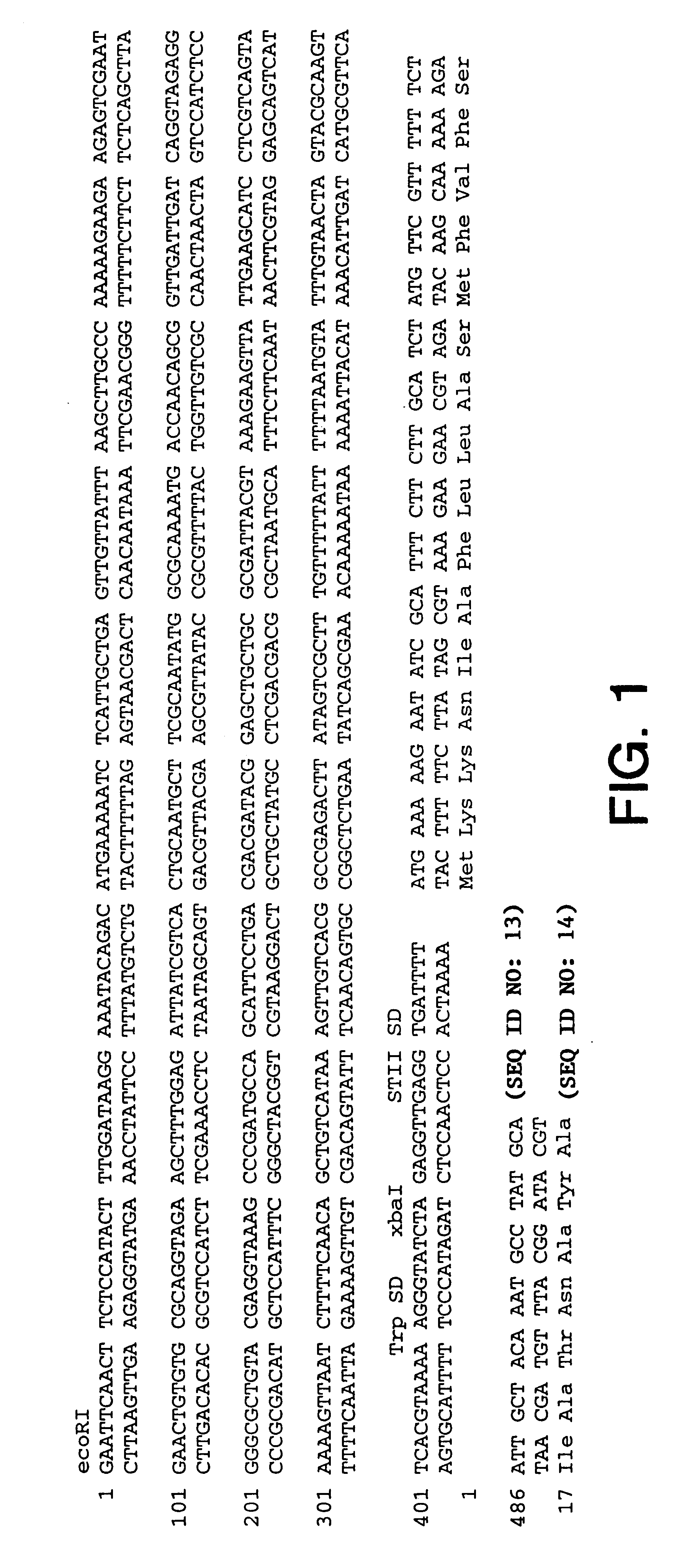 Methods and compositions for secretion of heterologous polypeptides