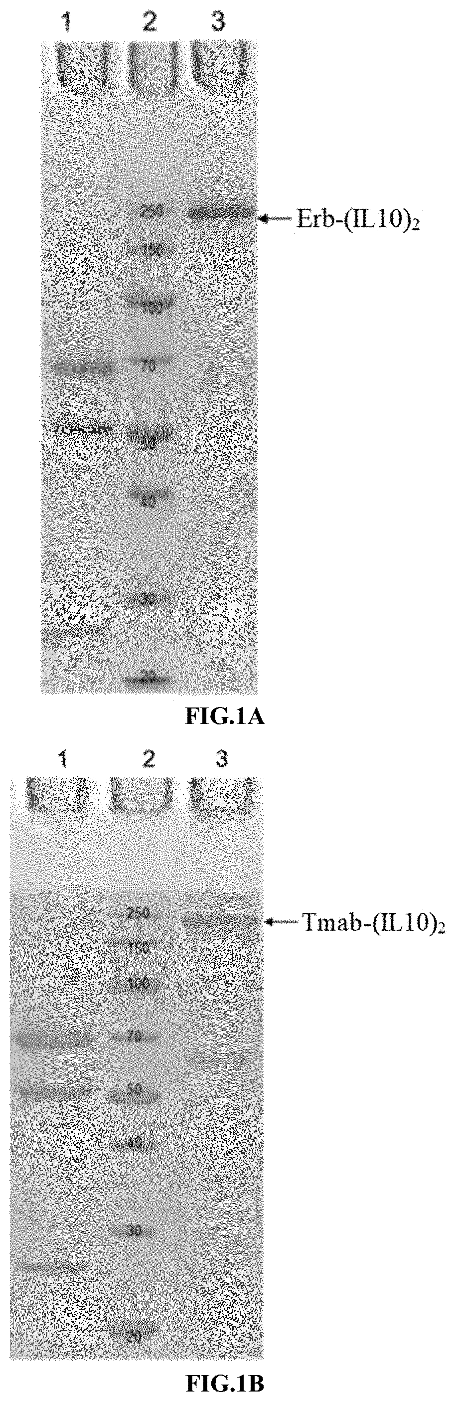 Methods and compositions for cancer treatment