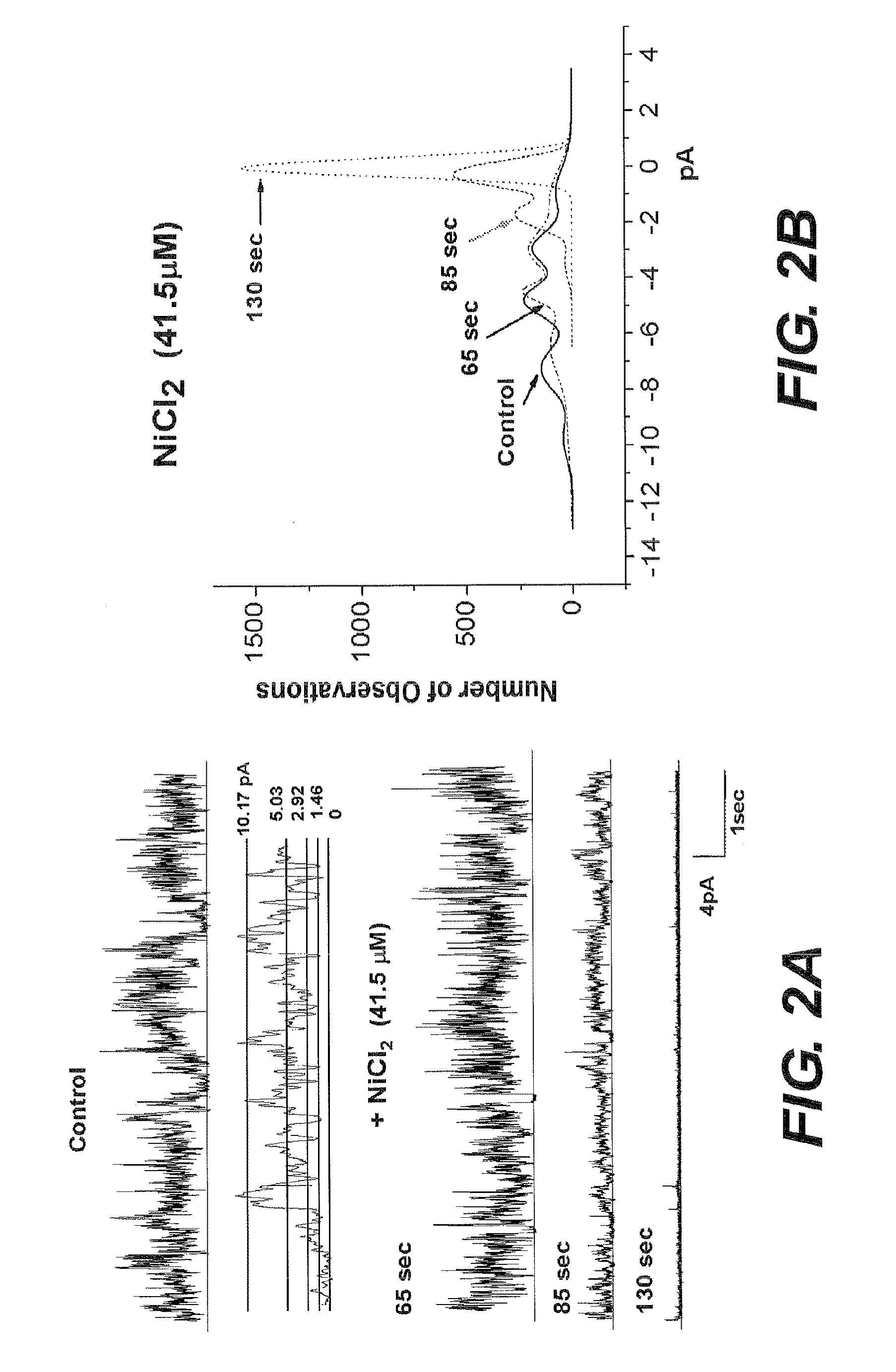 Histidine related compounds for identifying and blocking amyloid beta ion channels