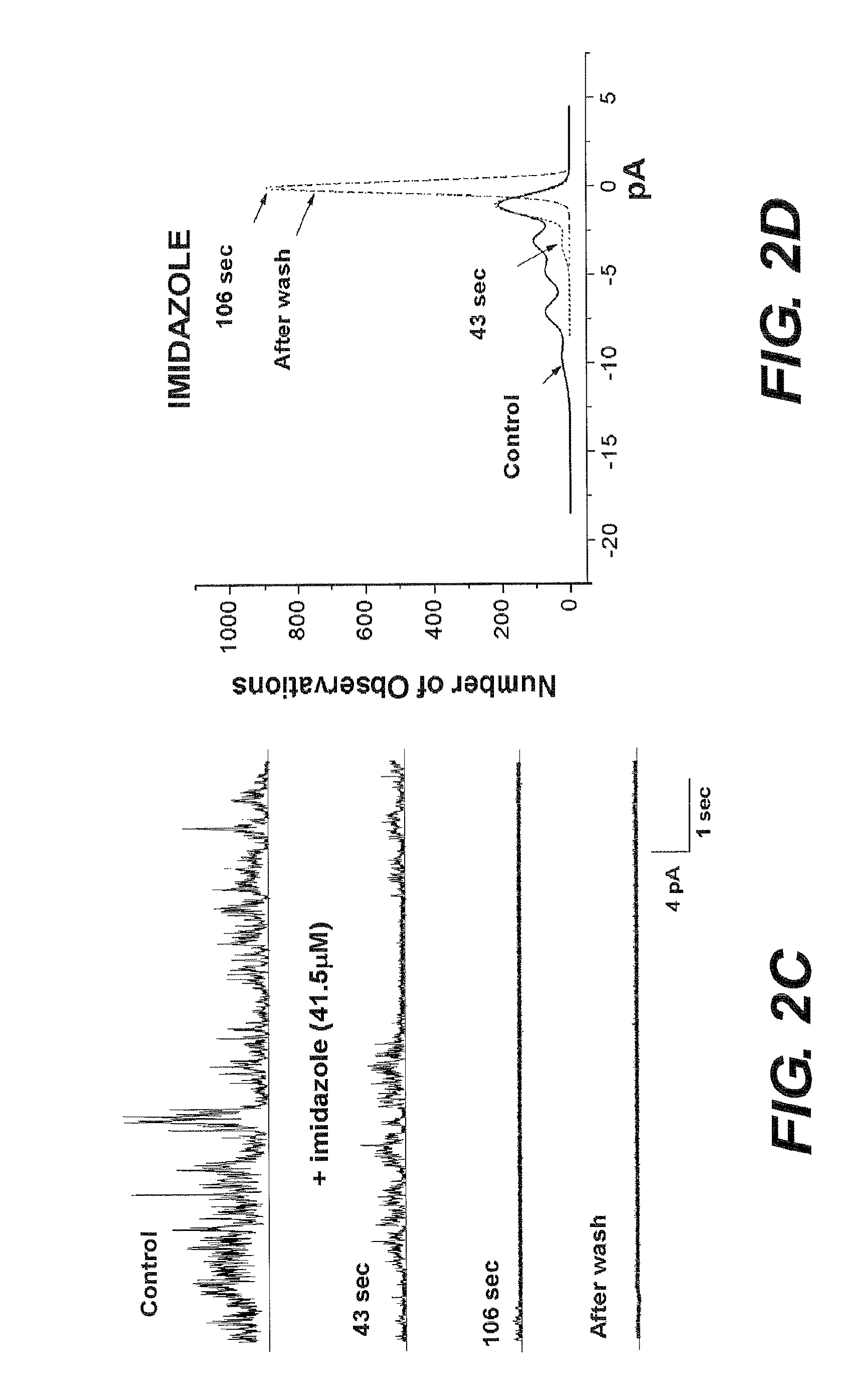 Histidine related compounds for identifying and blocking amyloid beta ion channels