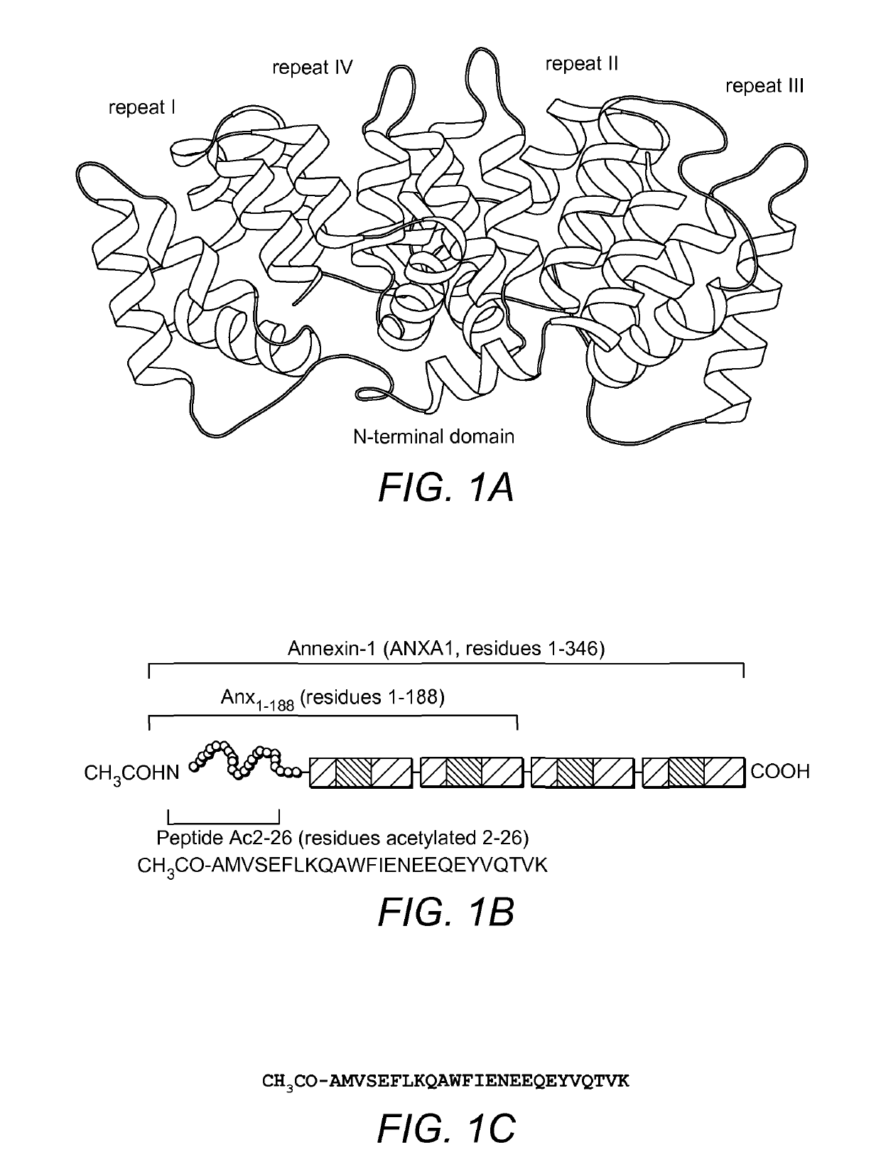 Methods of treating obsessive compulsive disorder (OCD) or anxiety using an antibody that binds to annexin-1