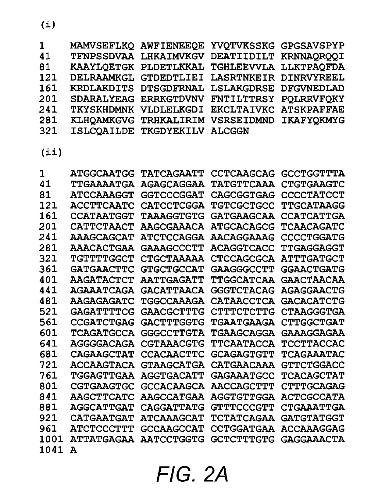 Methods of treating obsessive compulsive disorder (OCD) or anxiety using an antibody that binds to annexin-1