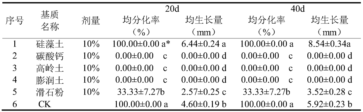 Smearing agent for promoting poplar-willow-trunk wound healing and preparing method and application