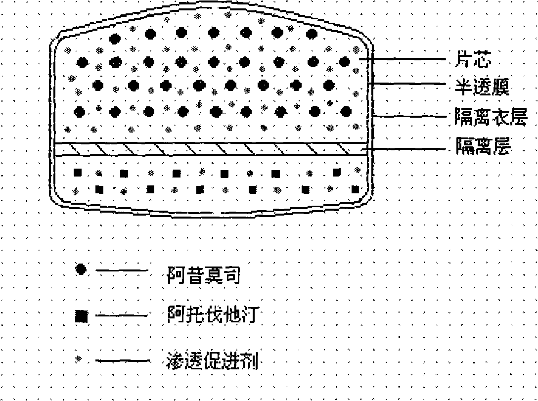 Osmotic pump controlled release preparation composition and preparation thereof