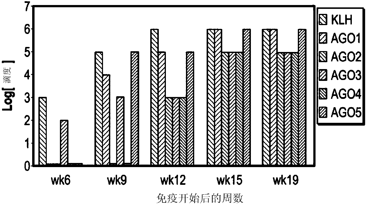 Camelid single-domain hcv antibodies and methods of use