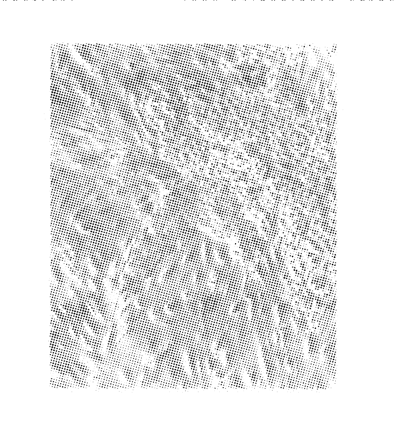 Separation and culturing method of human epidermis stem cell