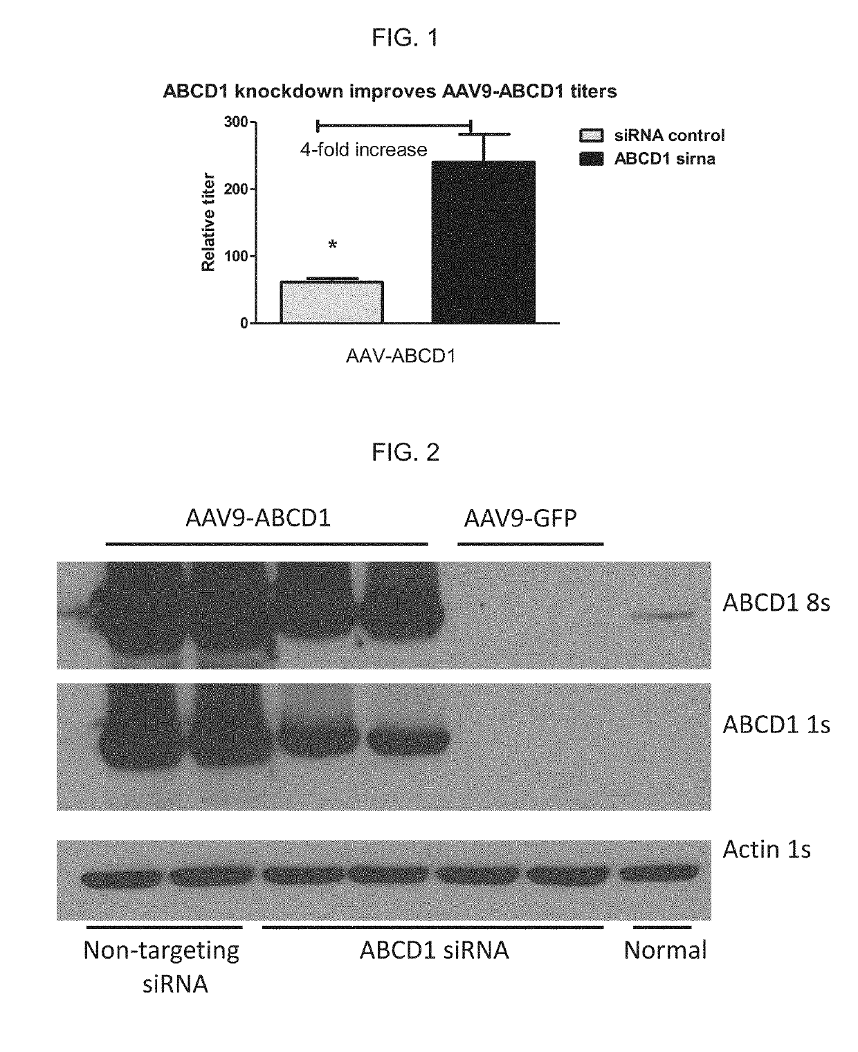 Intrathecal delivery of nucleic acid sequences encoding abcd1 for treatment of adrenomyeloneuropathy