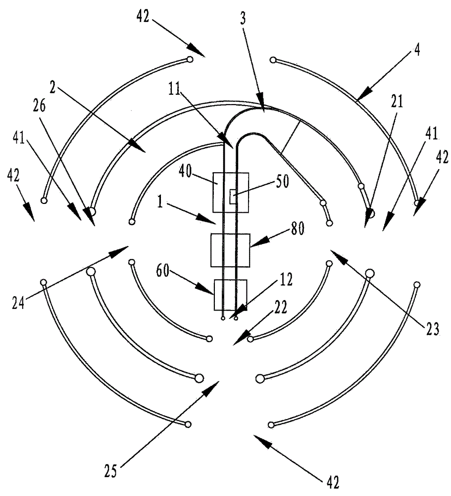 livestock guide corridor