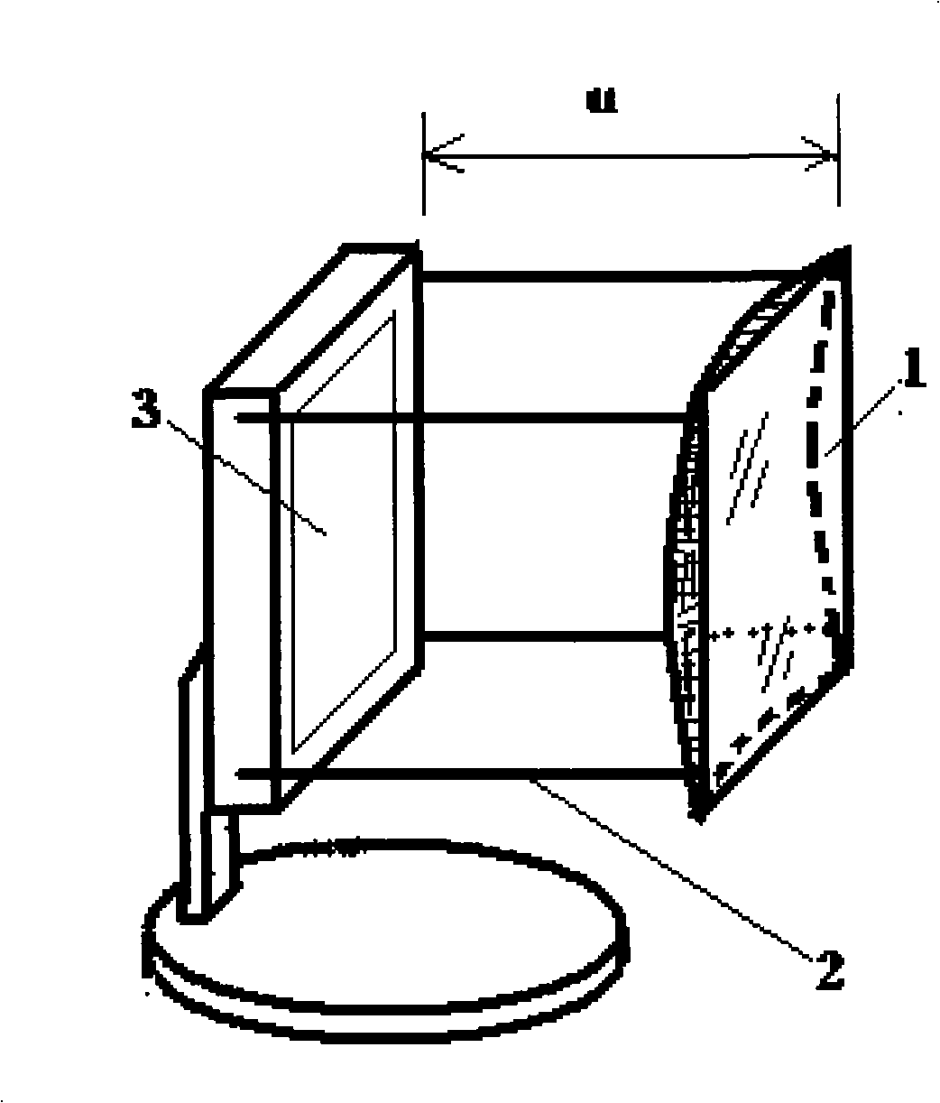Apparatus for watching display screen