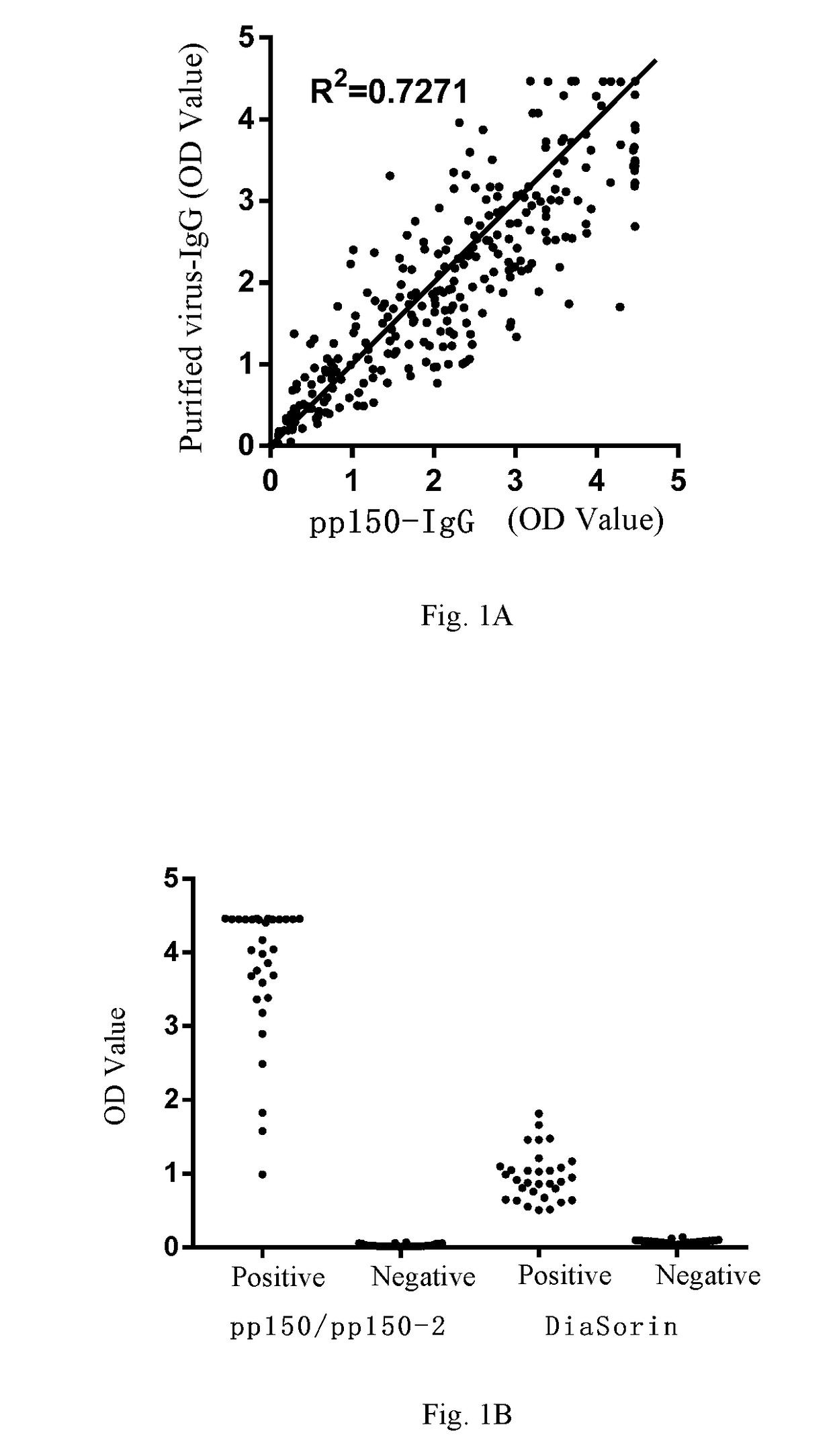 Method for assessing risk of human cytomegalovirus active infection in body and related kit