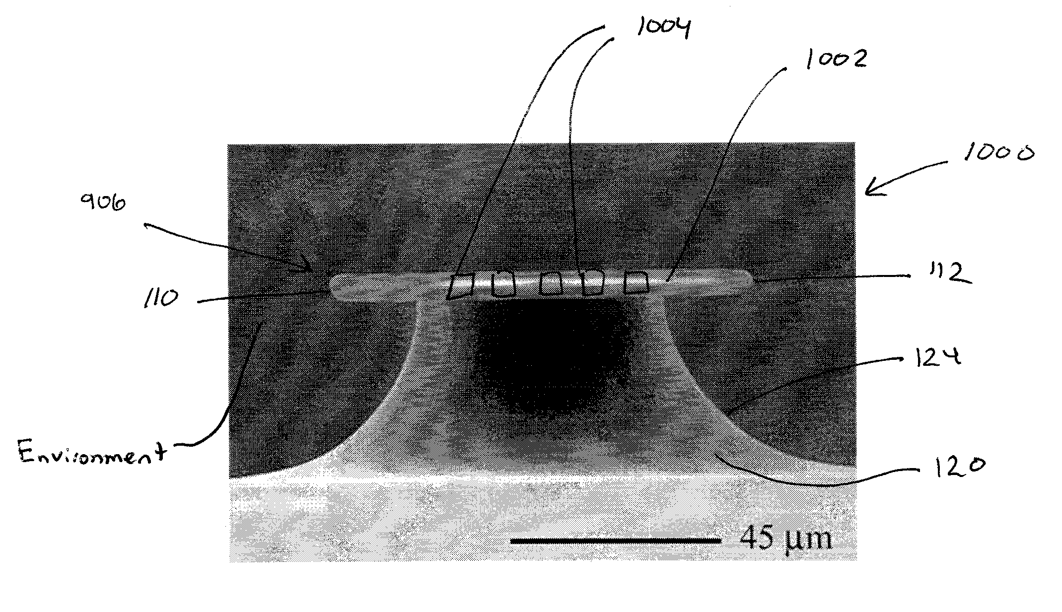 Biological and chemical microcavity resonant sensors and methods of detecting molecules