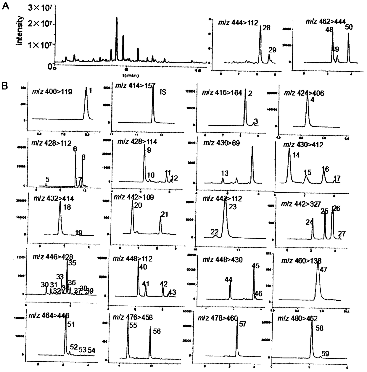 Metabonomics and transcriptomics correlation analysis based method for screening key gene for synthesis of fritillaria alkaloid