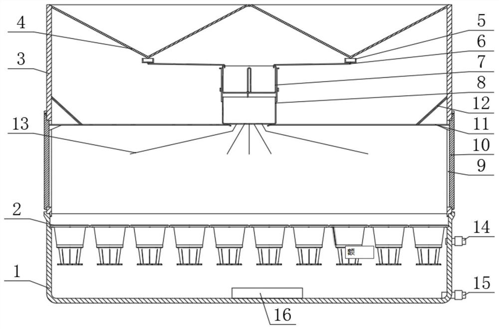 Container seedling raising device and method for tabebuia chrysantha