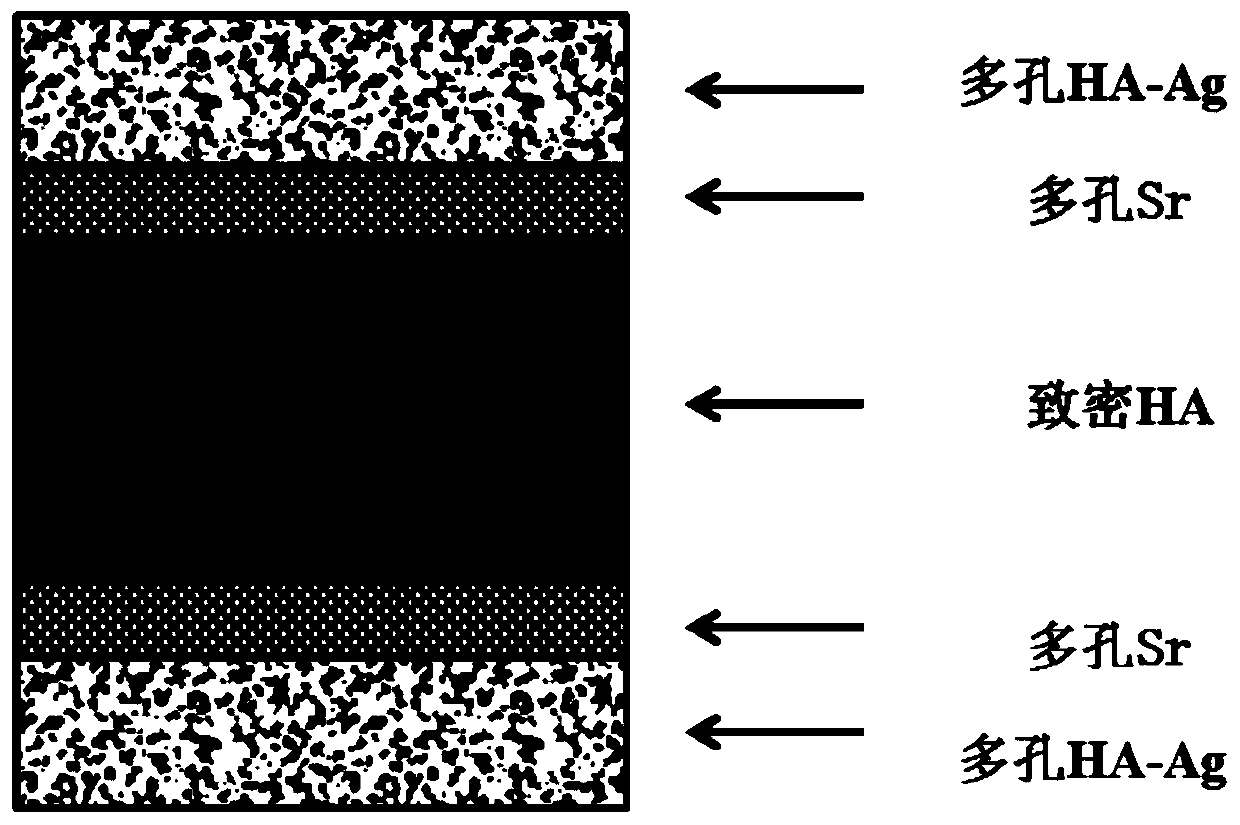 Preparation method of an antibacterial functionally graded porous ha-ag bone-filling scaffold with active interlayer