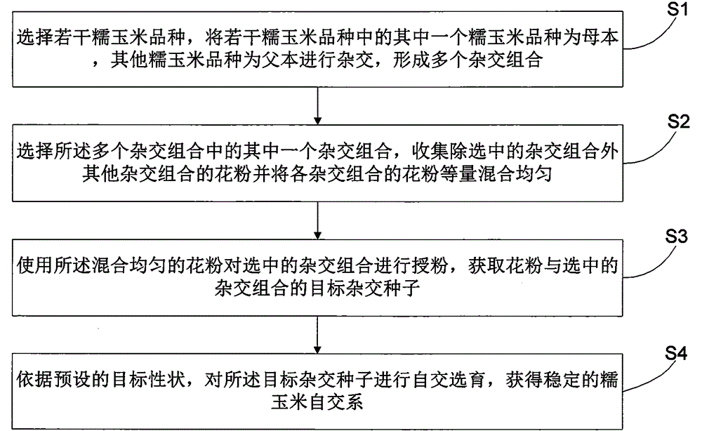 Breeding method of selfing lines of waxy corns and white waxy corns