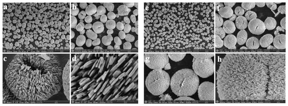 Novel sheet stacked spherical structure rare earth oxysulfide and preparation method and application thereof