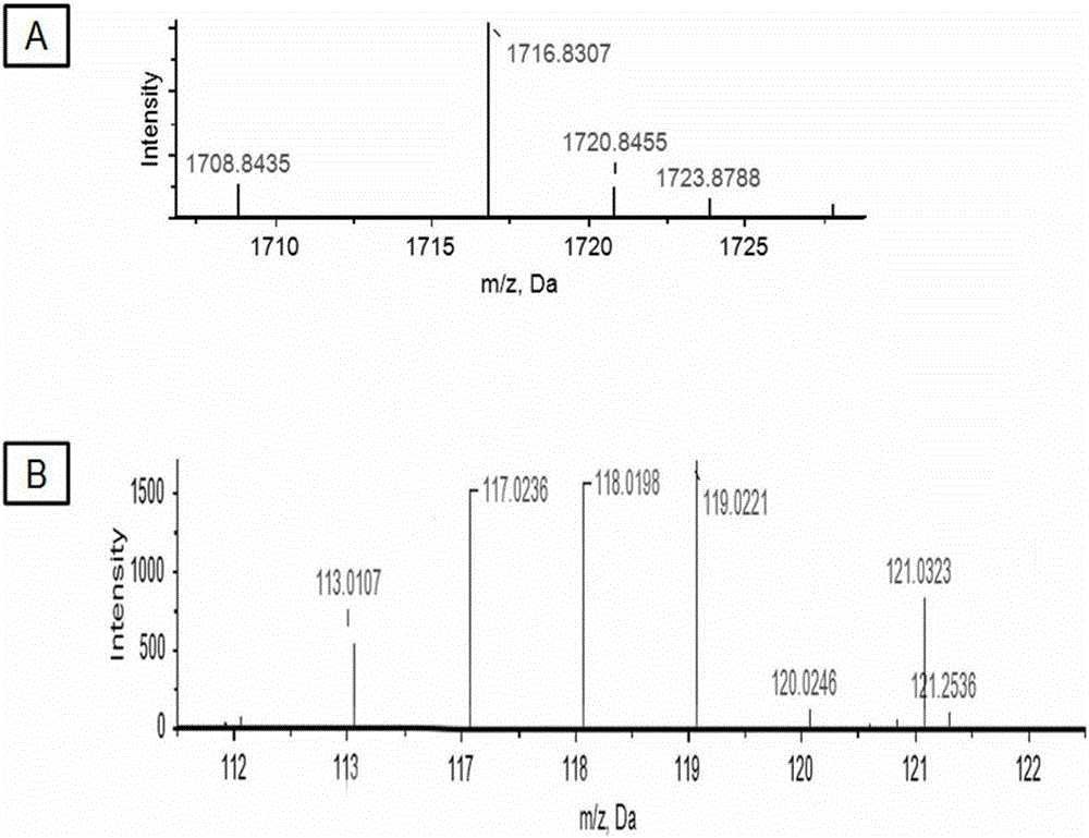 Method for using serum SHBG as serum markers of pulmonary tuberculosis patients and application thereof