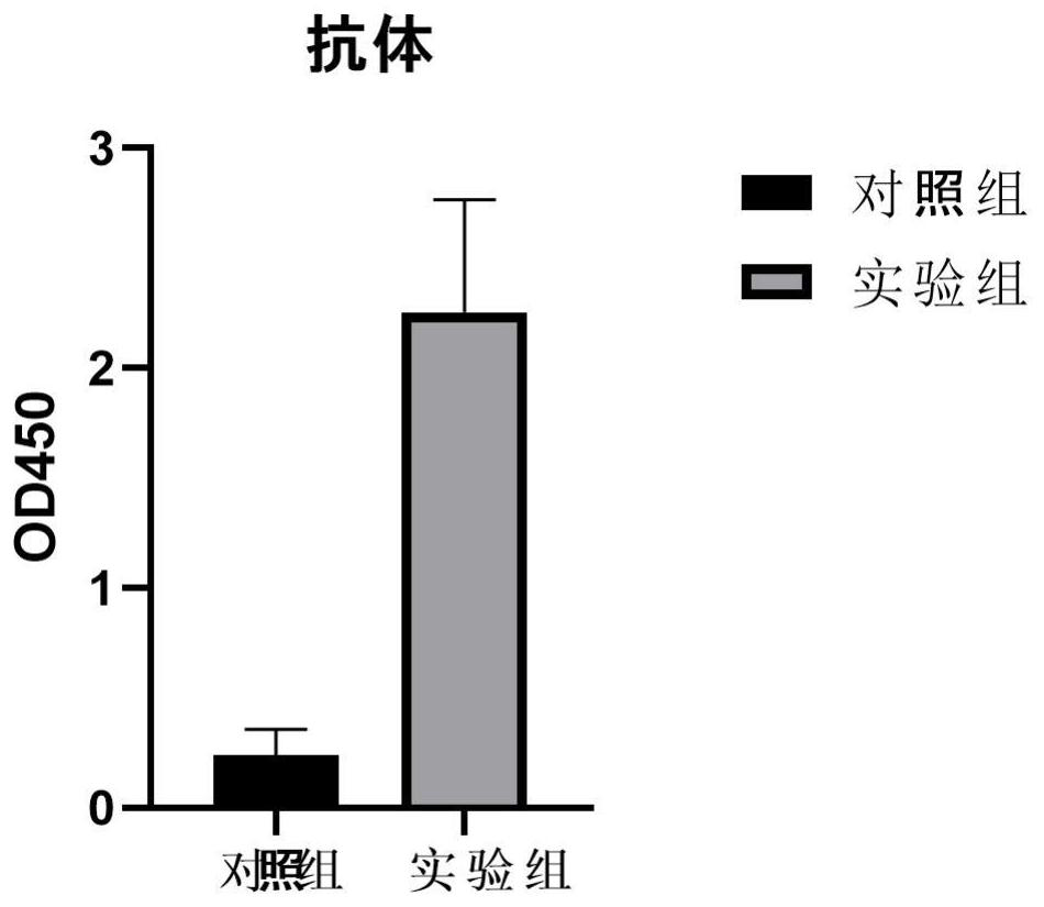 Recombinant S protein, recombinant plasmid and recombinant bacterium of novel coronavirus and application of recombinant S protein, recombinant plasmid and recombinant bacterium in preparation of exosome drug or exosome vaccine