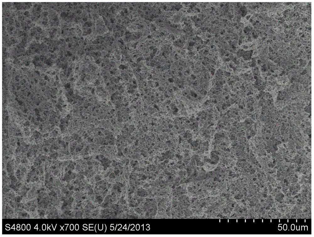 Preparation method of microporous membrane with multiscale gradient microstructure surface