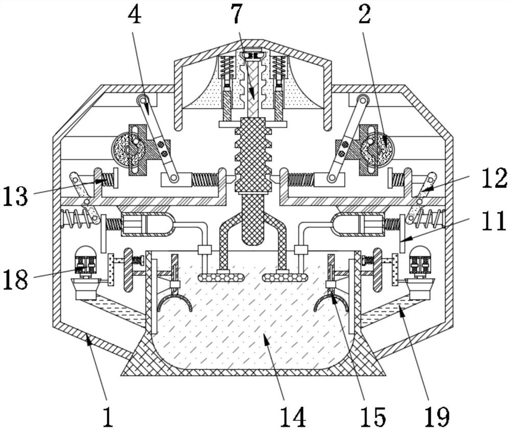 Carp breeding oxygenating device with automatic feeding function